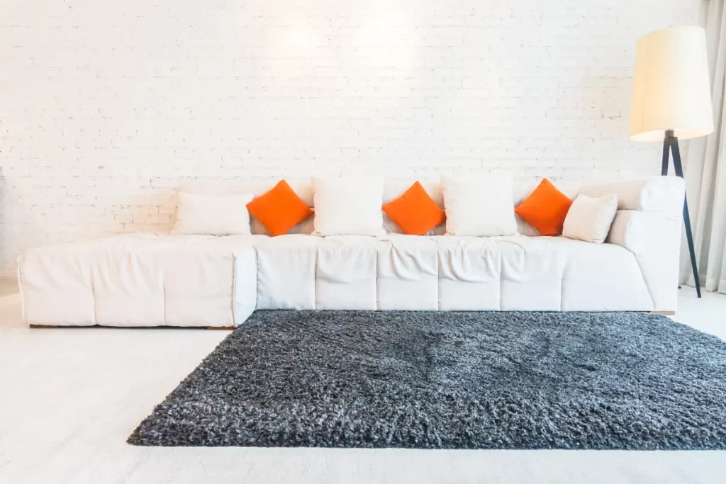 Carpet Care Mistakes You Should Avoid